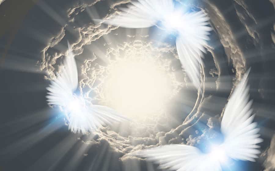 conectar aos anjos